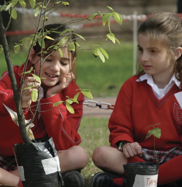 Alumnas del colegio explorando y cuidando plantas
