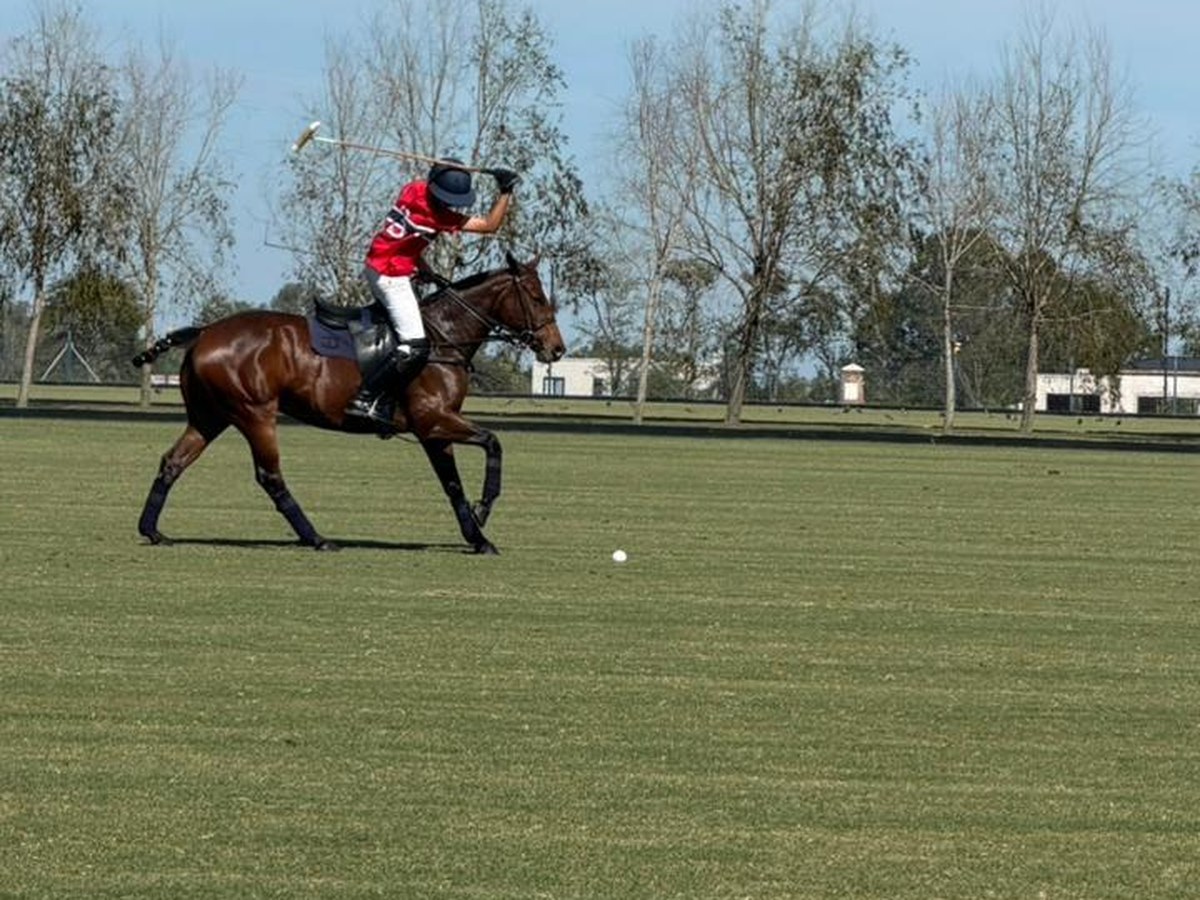 Alumno del Colegio del Pilar compitiendo en polo